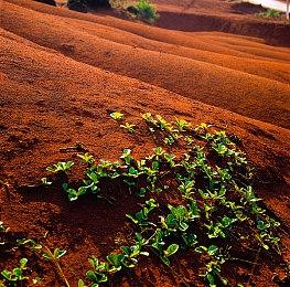 《明末：渊虚之羽》多个新截图 清凉女主vs鬼面Boss